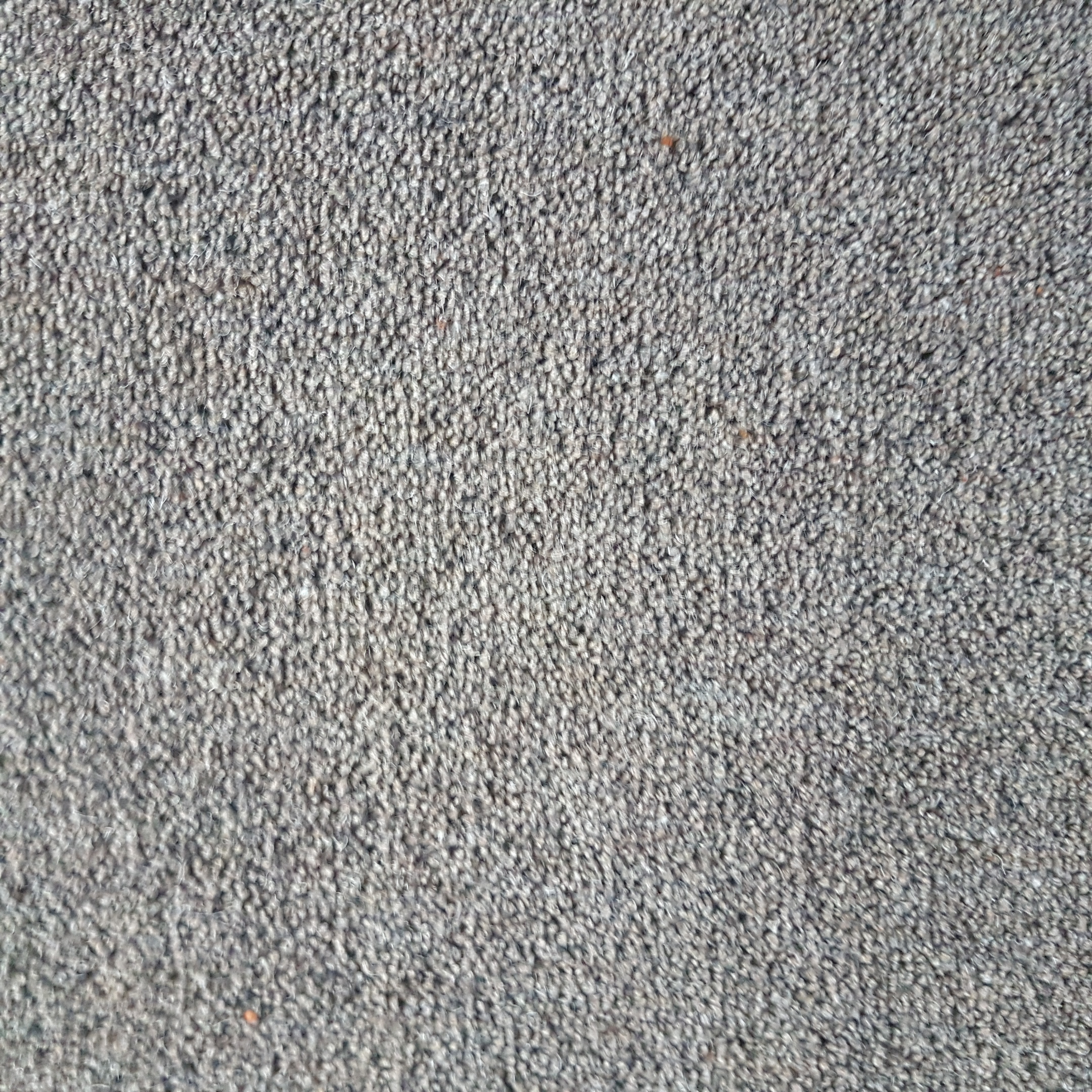 80/20 Wool Twist Carpet Roll End Remnant 4.7 X 5 Meters Save 75 eBay